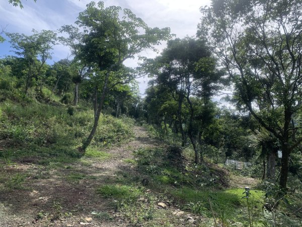 20250531屏東虻彈山東峰2803163