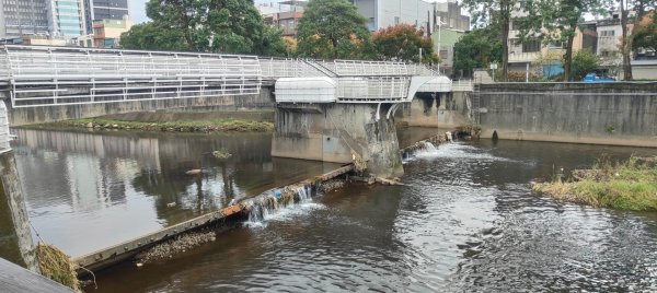 桃園老街溪2928629