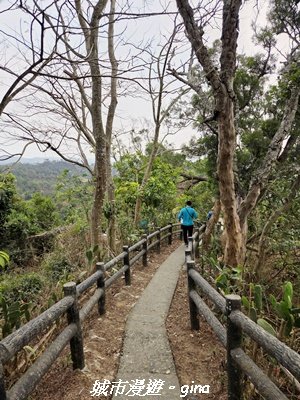【高雄大社】小百岳大社觀音山步道3013131
