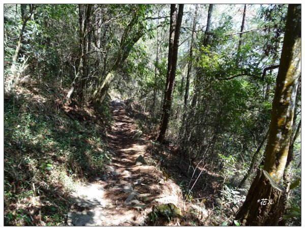 東卯山、東卯山西峰、東卯山西南峰 連走2932802