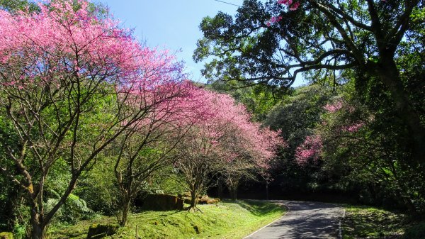 春天的顏色1279658