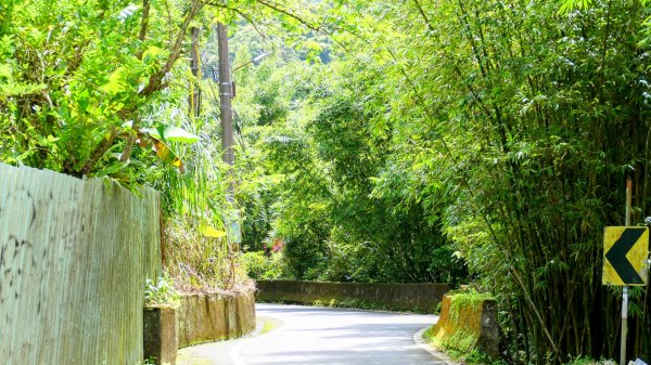 微笑山線銀河洞越嶺段2852812