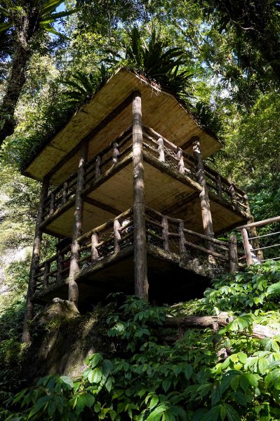 滿月圓森林步道2870097