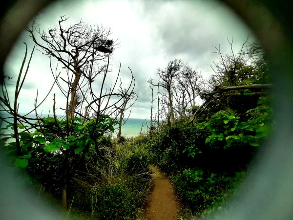 琅嶠卑南古道2700548