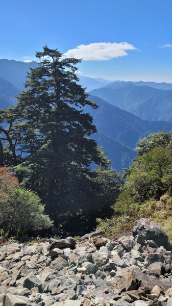 玉山前峰2402082