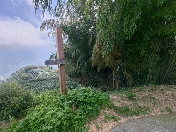 華山4-2號步道上雲嘉連峰2579331