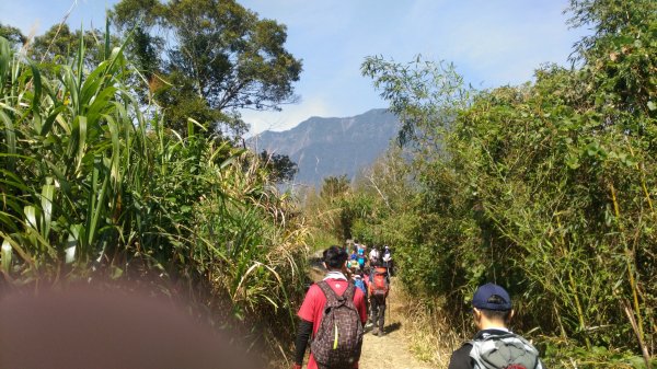 大禮大同步道1321055