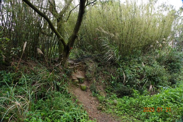 新竹 芎林 雞寮坑山、下橫坑山、芎蕉窩山、牛欄窩山2002537