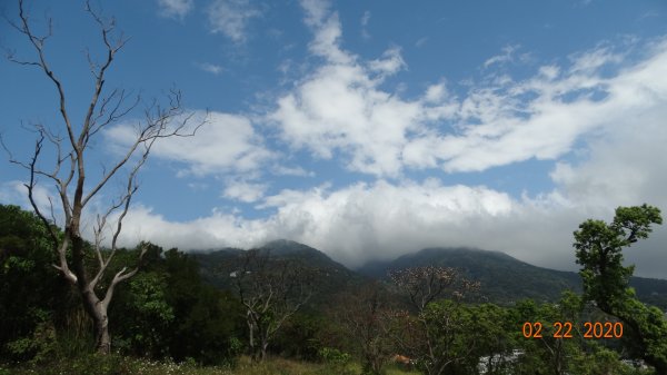 午餐的約會-北投三層崎/貴子坑845556