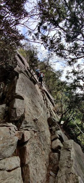 中級山-鳶嘴稍來2888998