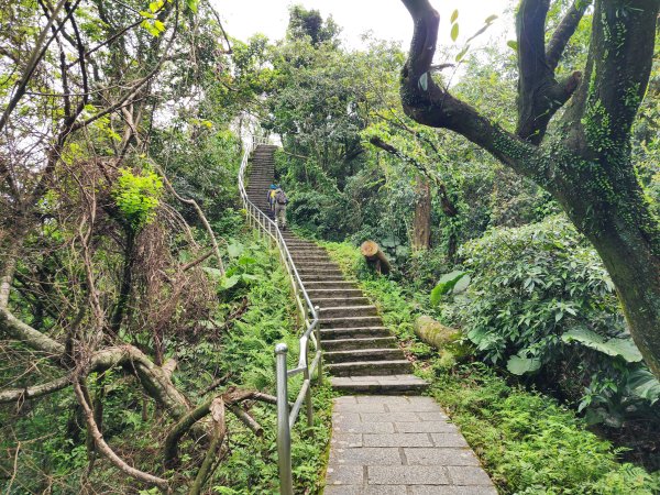 小百岳No.12⛰汐止大尖山2751646