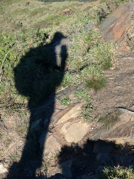 【南投縣仁愛鄉】合歡群峰2天1夜(下)1028145