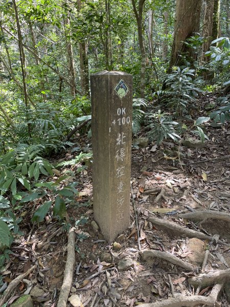 林相優美-內鳥嘴山111.03.161645262