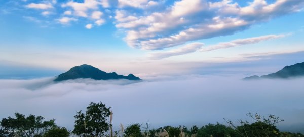 #樹梅坪 #金瓜石 12/102958902