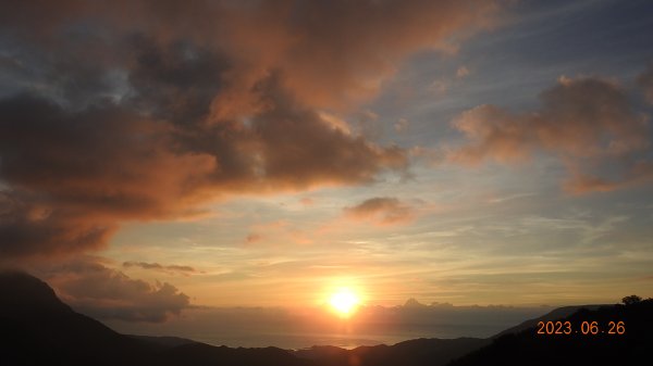 雲山水花鳥蝶 - 天龍國阿伯的日常 6/262195483