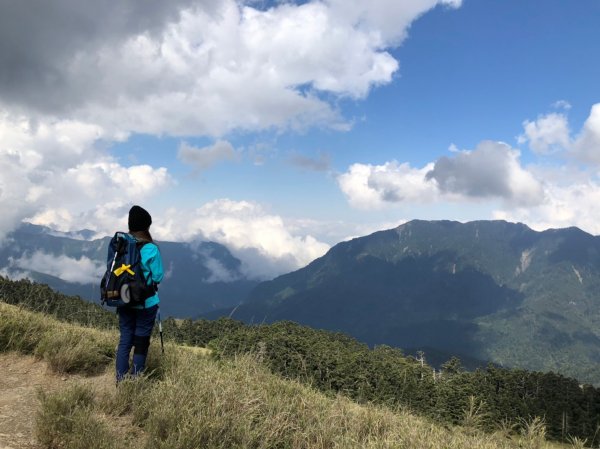 合歡山五座百岳賞杜鵑花587125