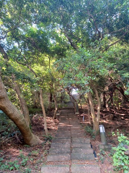 【苗栗新竹】通霄神社x通霄虎頭山步道x新竹香山濕地賞蟹步道2925424