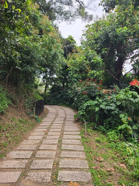 大坑10號提前修好啦(10號上+6號+7號下)2753650