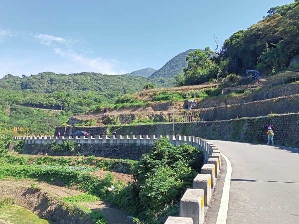 半嶺步道、松溪瀑布、橫嶺古道、湖山綠地【發現陽明山、走路趣尋寶、健康大穀東】2321348