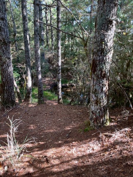 1141108-09桃山單攻2935961