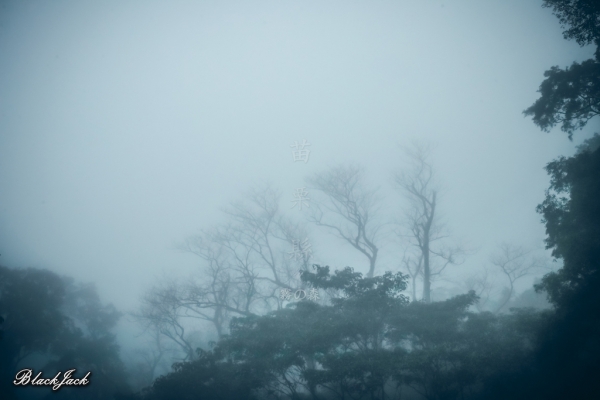三義霧の森260921