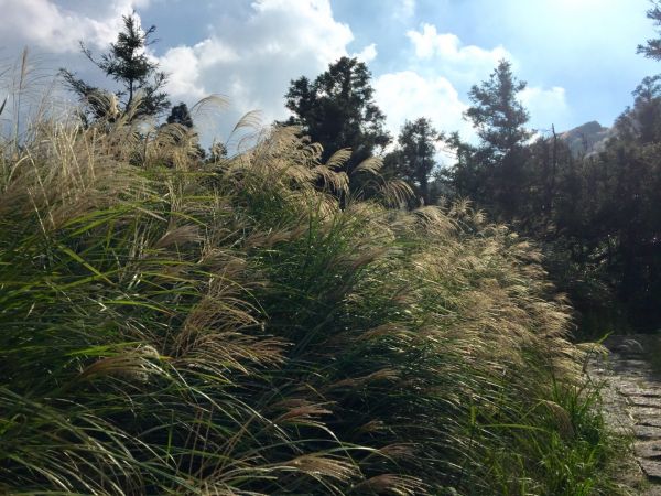 夢幻湖、七星山主東峰183382