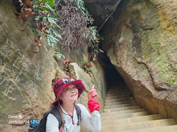 圓通寺烘爐地登山步道大O走3007062