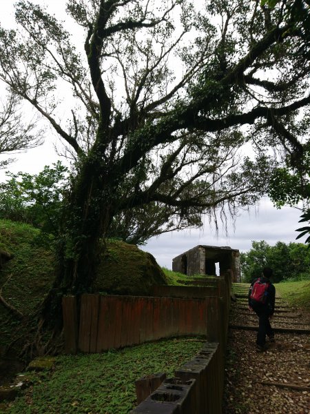 海洋大學龍崗步道－槓子寮山578399