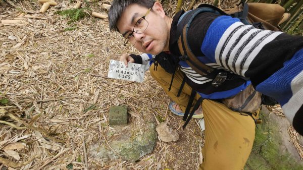 20260220大慈寺參拜道-四十基石-中正山-中正山東南峰3002843