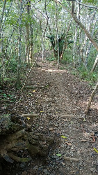 走完八里灣山在加碼月眉山