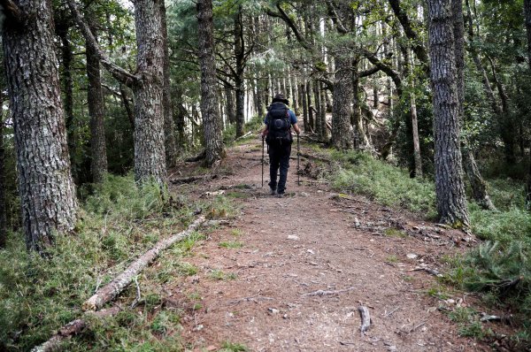 帝王之座-南湖圈谷｜審馬陣山＋南湖北山＋雲稜/南湖圈谷山屋2884837