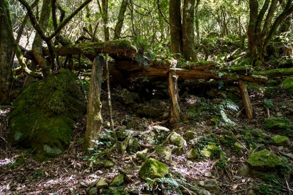 霞山鐵道野營2843122
