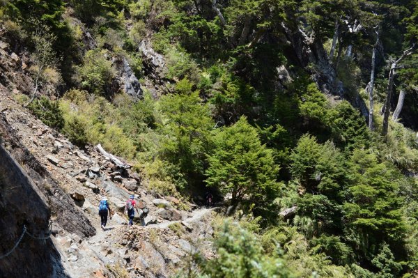 新手挑戰百岳之首、成功攀登玉山主峰2119478