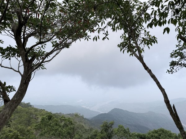 大漢林道登山趣(力里山.具馬奴山.崁頭窩山)  2026.3.283028015