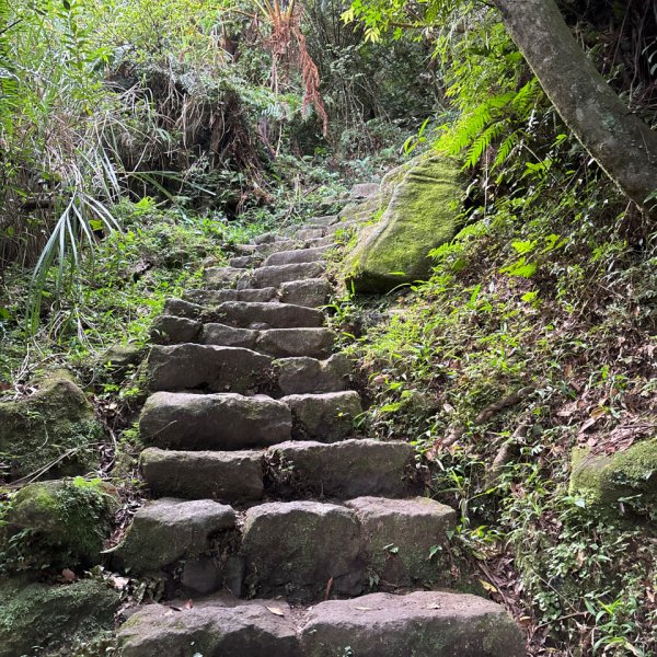 七星山苗圃路線2922634