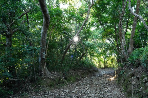 宜蘭 南澳 澳花山2881274