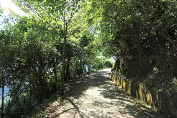 〔石碇〕鱷魚島🐊🐊🐊，晴空萬里下的萌萌淡碇鱷   最美。石碇 千島湖 土虱頭  永安景觀步道2213336