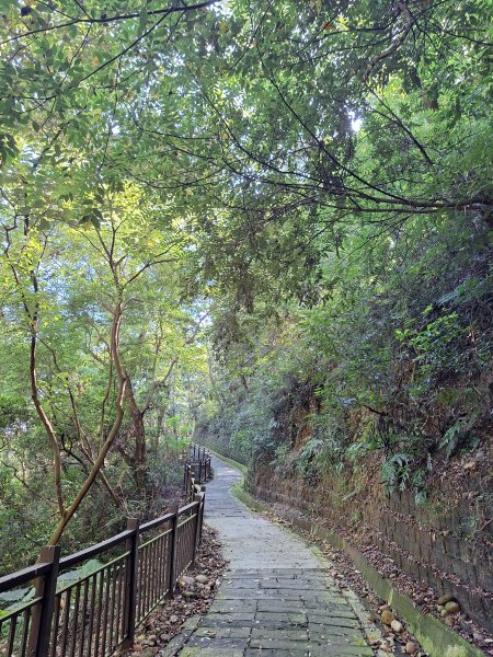 挑水古道+十八觀音步道+大峰巷步道+碧山古道O型11309152594613