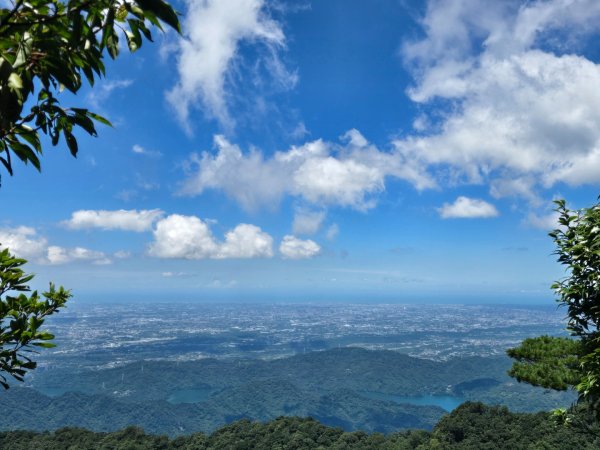 馬武督探索森林、外鳥嘴山2860621