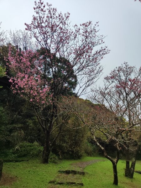 2026臺北大縱走第一段&第二段3011323