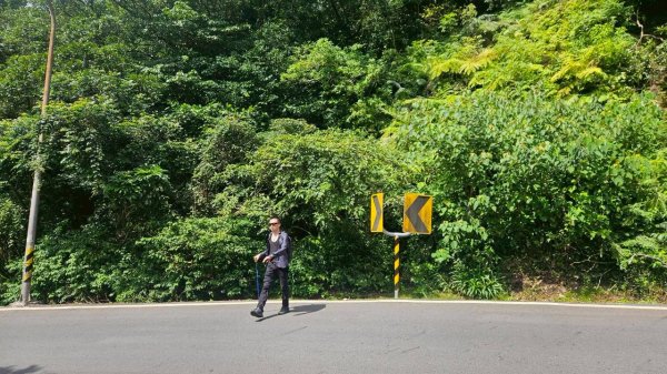20251011七股山-七股山東北稜-七股山北峰-七股山東北峰-下七股西南-下七股-下七股東北-下七2910565