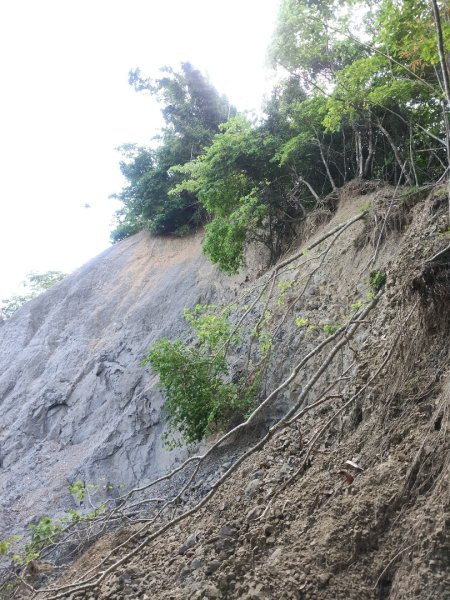 山海圳【大圳之路：第二段鳥山嶺水我古道 ⮕東3124351