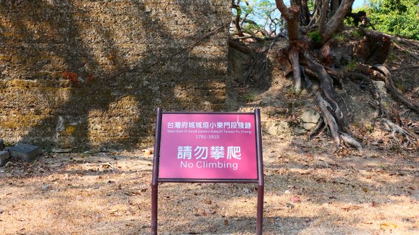 台南成大等3002032