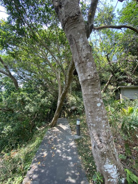 2025微笑山線大縱走尋寶集章任務-Ep.06【二格山系】和美山螢火蟲2880991