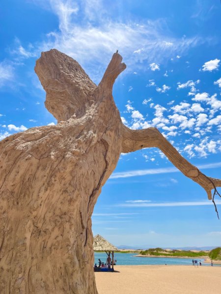 多彩塞北阿拉善.騰格里沙漠六湖穿越2919961