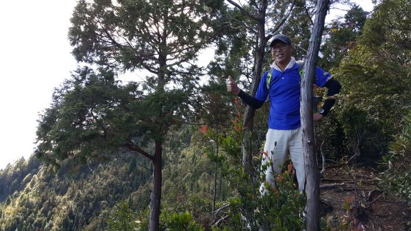 八唐縱走 2016 12 10138599