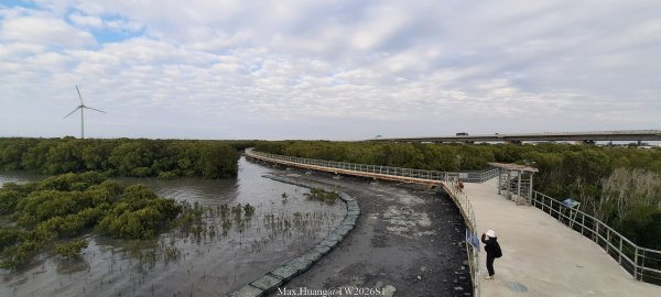 《彰化》海空夕照｜王功燈塔及芳苑海空步道健行賞冬候鳥202601102980259
