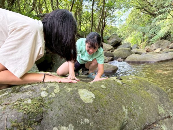 大屯溪古道2974967