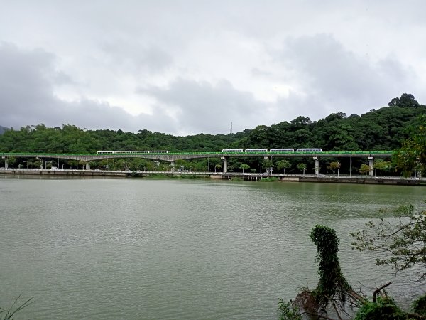 大湖公園 (防災公園)、台大椰林步道、大安森林公園《瘋狂愛尋寶》【南山神壽任務】【走路趣尋寶】1886447