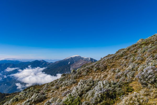 南二段撤退行2743220